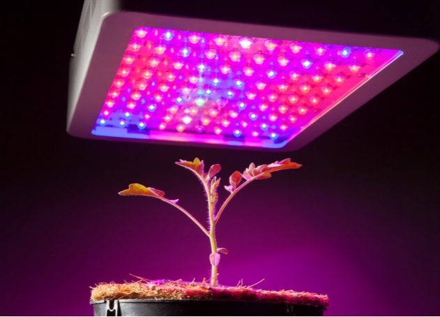 Luz LED pragmática para plantas (crecimiento)
